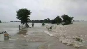 पटना पर मंडराया बाढ़ का संकट, गंगा का जलस्तर HFL पार; रविवार सुबह तक और बढ़ने का अलर्ट