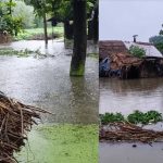 फतेहपुर में भारी बारिश से तबाही, 67 घर हुए ध्वस्त; 3 लोगों ने गंवाई जान