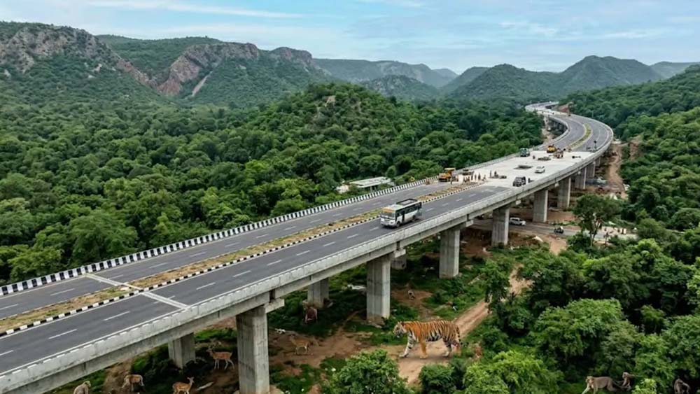 नटनी का बारा से मंडावर तक बनेगा एलिवेटेड रोड, 26 KM घटेगी दूरी