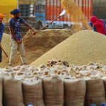 धान खरीद को लेकर हरियाणा सरकार की केंद्र से बड़ी मांग, 65 लाख टन का कोटा मांगा