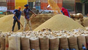 धान खरीद को लेकर हरियाणा सरकार की केंद्र से बड़ी मांग, 65 लाख टन का कोटा मांगा