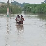 नेपाल की भारी बारिश से बिहार में बाढ़ का खतरा बढ़ा, गंडक उफान पर; बगहा-वाल्मीकिनगर पथ डूबा