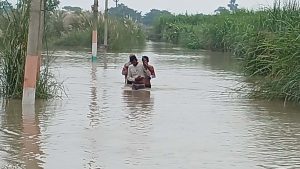 नेपाल की भारी बारिश से बिहार में बाढ़ का खतरा बढ़ा, गंडक उफान पर; बगहा-वाल्मीकिनगर पथ डूबा