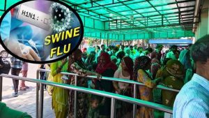 करनाल में तेजी से बढ़ रहे स्वाइन फ्लू के मामले, एक हफ्ते में मरीज 27 से बढ़कर 36 करनाल में तेजी से बढ़ रहे स्वाइन फ्लू के मामले, एक हफ्ते में मरीज 27 से बढ़कर 36
