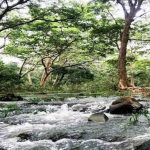 साउथ रिज फेज-2 में 400 हेक्टेयर जमीन, एलजी की मंजूरी का इंतजार