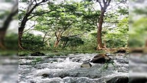 साउथ रिज फेज-2 में 400 हेक्टेयर जमीन, एलजी की मंजूरी का इंतजार