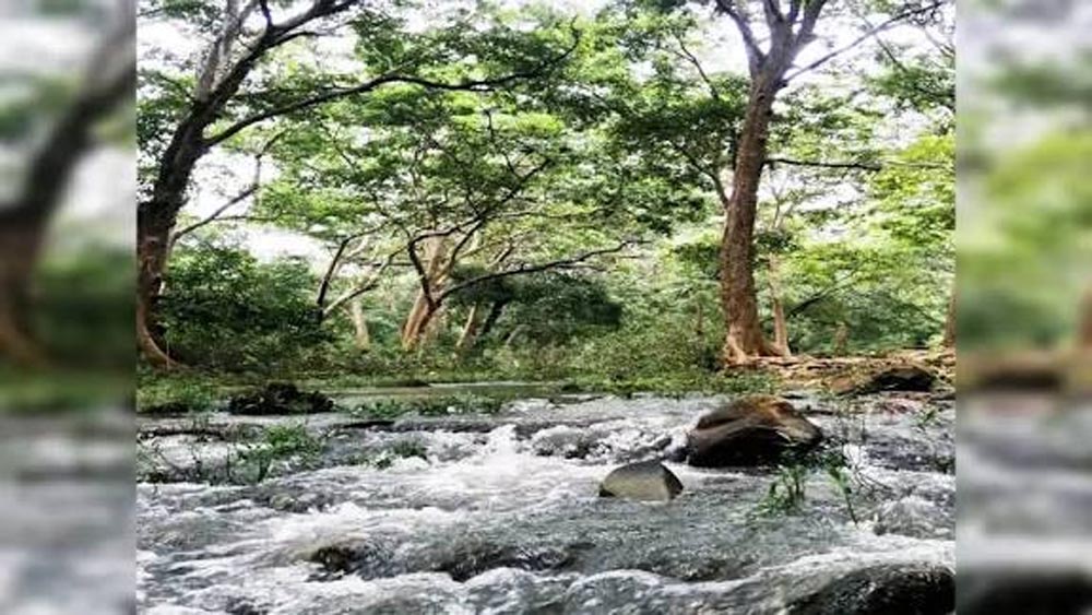 साउथ रिज फेज-2 में 400 हेक्टेयर जमीन, एलजी की मंजूरी का इंतजार साउथ रिज फेज-2 में 400 हेक्टेयर जमीन, एलजी की मंजूरी का इंतजार