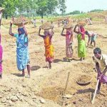अब 50.43 सीएफटी मिट्टी कटाई पर मिलेगी एक दिन की मजदूरी