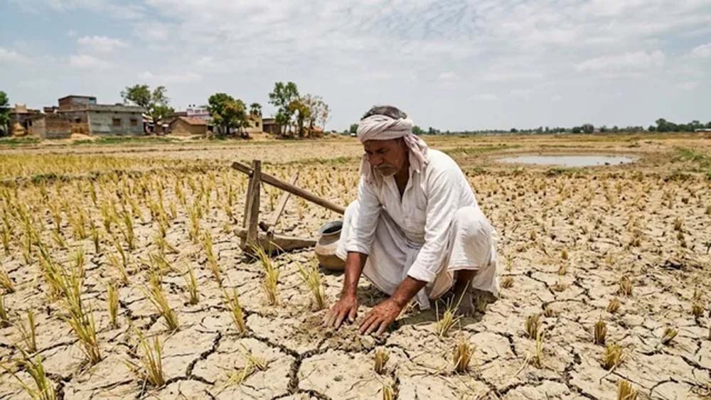 हरियाणा में कमजोर रहा मानसून, 413 की जगह सिर्फ 317.5 मिमी बारिश; तापमान बढ़ा