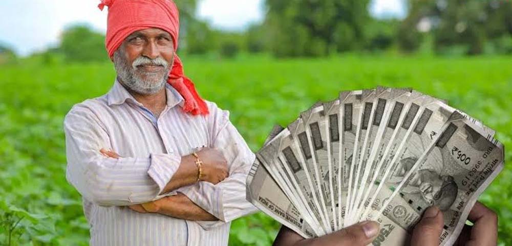 सब्जी-मसाले से फूलों तक खेती पर मिलेगी आर्थिक मदद, जानें किस फसल पर कितना अनुदान
