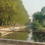 ‘जल संरक्षित हरियाणा’ परियोजना के तहत 106 नहरों को मिलेगा मजबूत कवच
