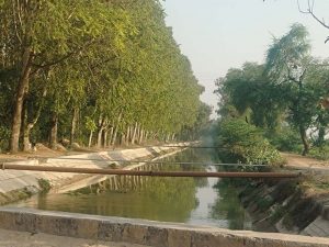 ‘जल संरक्षित हरियाणा’ परियोजना के तहत 106 नहरों को मिलेगा मजबूत कवच
