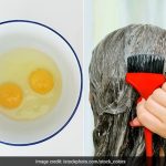 महंगे केराटिन-प्रोटीन ट्रीटमेंट छोड़िए! अंडे से बनाएं 5 होममेड हेयर मास्क, बाल होंगे मुलायम