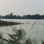 कोसी की बाढ़ ने मचाई तबाही, आलमनगर-चौसा में 6564 हेक्टेयर धान की फसल बर्बाद कोसी की बाढ़ ने मचाई तबाही, आलमनगर-चौसा में 6564 हेक्टेयर धान की फसल बर्बाद