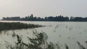कोसी की बाढ़ ने मचाई तबाही, आलमनगर-चौसा में 6564 हेक्टेयर धान की फसल बर्बाद कोसी की बाढ़ ने मचाई तबाही, आलमनगर-चौसा में 6564 हेक्टेयर धान की फसल बर्बाद