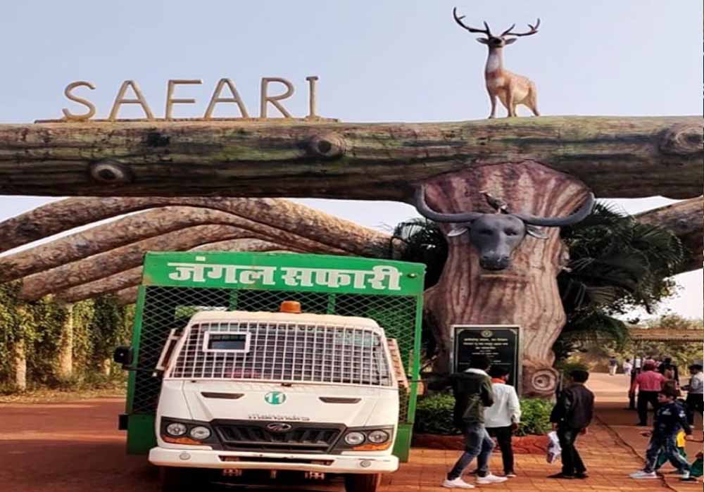 वन्यप्राणियों की सुरक्षा के लिए सख्ती, छत्तीसगढ़ के जंगलों में प्लास्टिक पर लगेगा जुर्माना वन्यप्राणियों की सुरक्षा के लिए सख्ती, छत्तीसगढ़ के जंगलों में प्लास्टिक पर लगेगा जुर्माना