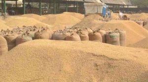 किसानों के लिए राहत की खबर, सुकमा में 6 नए धान खरीदी केंद्रों को मंजूरी