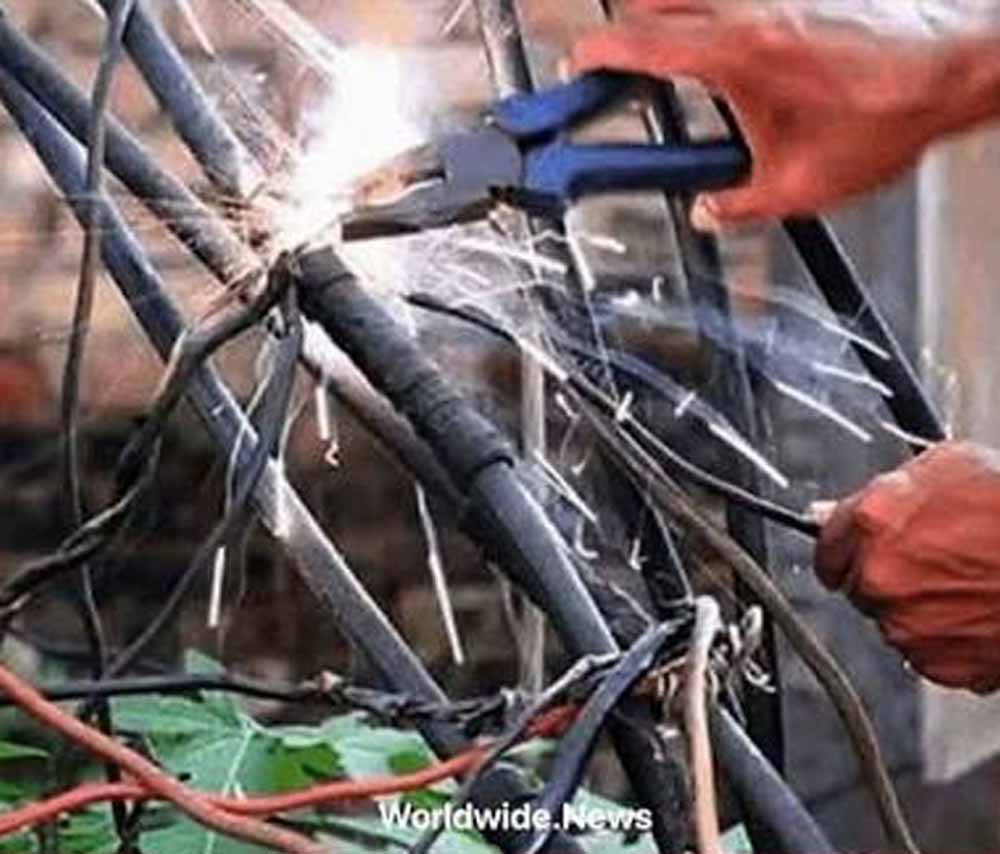 8 करोड़ बकाया पर बिजली विभाग की कार्रवाई, कुम्हारी नपा के कनेक्शन काटे 8 करोड़ बकाया पर बिजली विभाग की कार्रवाई, कुम्हारी नपा के कनेक्शन काटे