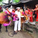 पोला पर्व पर छत्तीसगढ़ में खास आयोजन, CM विष्णुदेव साय होंगे शामिल पोला पर्व पर छत्तीसगढ़ में खास आयोजन, CM विष्णुदेव साय होंगे शामिल