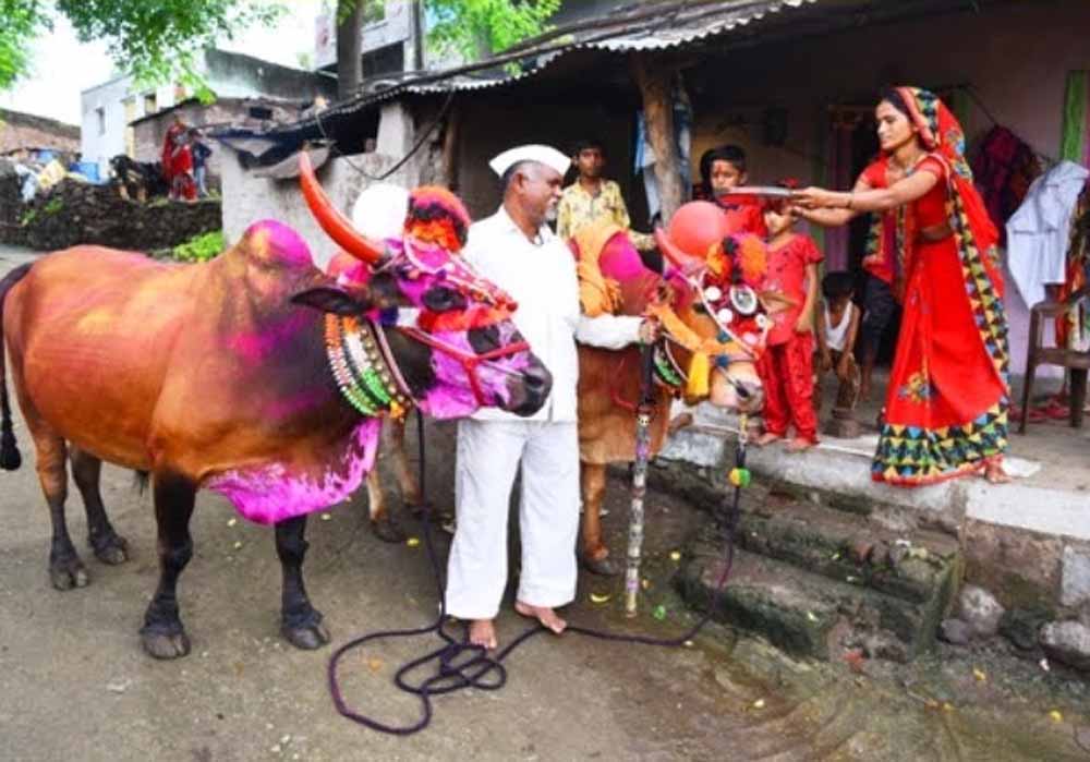 पोला पर्व पर छत्तीसगढ़ में खास आयोजन, CM विष्णुदेव साय होंगे शामिल पोला पर्व पर छत्तीसगढ़ में खास आयोजन, CM विष्णुदेव साय होंगे शामिल