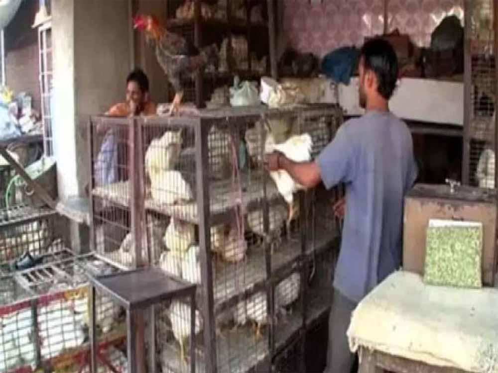 छत्तीसगढ़ में 5 दिन बंद रहेगी मांस-मटन की बिक्री, नियम तोड़ने पर होगी बड़ी कार्रवाई