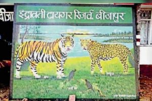 इंद्रावती टाइगर रिजर्व में बाघों की निगरानी का नया तरीका, वैज्ञानिक तकनीक का होगा इस्तेमाल