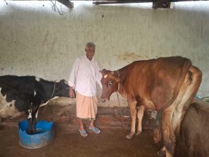 ’पीएम किसान सम्मान निधि की बचत से खरीदी पहली गाय, आज 10 गायों के साथ आत्मनिर्भर बने 75 वर्षीय परशुराम गुप्ता’