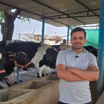 कृत्रिम गर्भाधान से अपने डेयरी फार्म में तैयार कर रहे उन्नत नस्ल की बछिया, बाहर से गाय खरीदने की जरूरत हुई कम कृत्रिम गर्भाधान से अपने डेयरी फार्म में तैयार कर रहे उन्नत नस्ल की बछिया, बाहर से गाय खरीदने की जरूरत हुई कम
