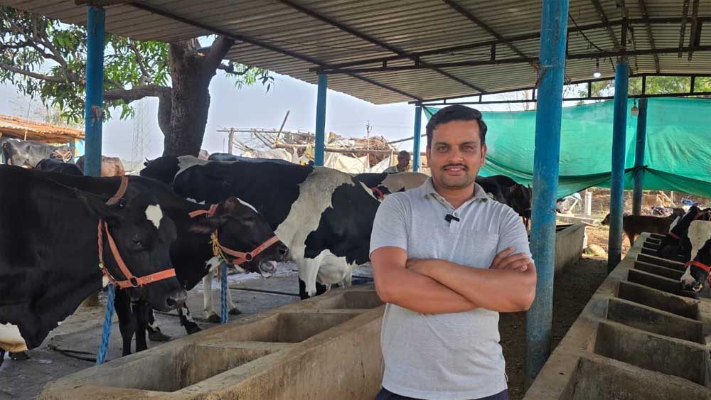 कृत्रिम गर्भाधान से अपने डेयरी फार्म में तैयार कर रहे उन्नत नस्ल की बछिया, बाहर से गाय खरीदने की जरूरत हुई कम कृत्रिम गर्भाधान से अपने डेयरी फार्म में तैयार कर रहे उन्नत नस्ल की बछिया, बाहर से गाय खरीदने की जरूरत हुई कम