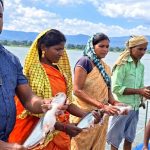 प्रधानमंत्री मत्स्य संपदा योजना से मल्हनिया जलाशय में बदली मछुआरों की जिंदगी प्रधानमंत्री मत्स्य संपदा योजना से मल्हनिया जलाशय में बदली मछुआरों की जिंदगी