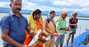 प्रधानमंत्री मत्स्य संपदा योजना से मल्हनिया जलाशय में बदली मछुआरों की जिंदगी प्रधानमंत्री मत्स्य संपदा योजना से मल्हनिया जलाशय में बदली मछुआरों की जिंदगी
