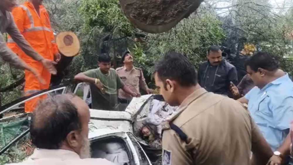 इंदौर में पेड़ गिरने से कार में फंसी बुजुर्ग की मौत, डेढ़ घंटे बाद निकाला गया शव