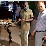 एलिवेटेड रोड के पास सड़क धंसी, ग्वालियर में 4 मकानों में दरारें पड़ीं