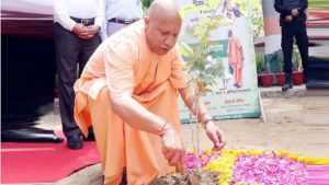 शिक्षकों के सम्मान में सभी वन प्रभाग लगाएंगे ‘एक पेड़ गुरु के नाम’ शिक्षकों के सम्मान में सभी वन प्रभाग लगाएंगे ‘एक पेड़ गुरु के नाम’