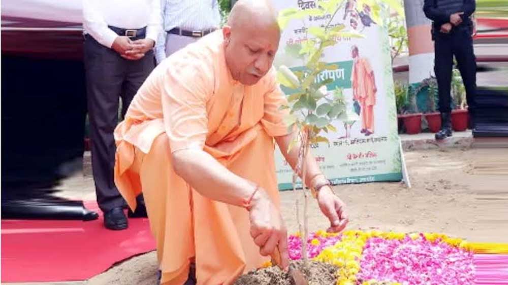 शिक्षकों के सम्मान में सभी वन प्रभाग लगाएंगे ‘एक पेड़ गुरु के नाम’ शिक्षकों के सम्मान में सभी वन प्रभाग लगाएंगे ‘एक पेड़ गुरु के नाम’