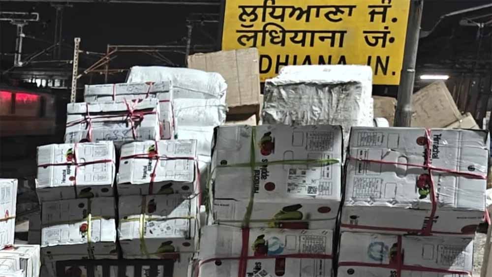 कुल्लू के ‘अमरफल’ की देशभर में होगी सप्लाई, लुधियाना से पहली खेप रवाना कुल्लू के ‘अमरफल’ की देशभर में होगी सप्लाई, लुधियाना से पहली खेप रवाना