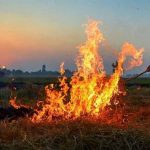 पंजाब में पराली जलाने के 15 केस, अमृतसर सबसे आगे