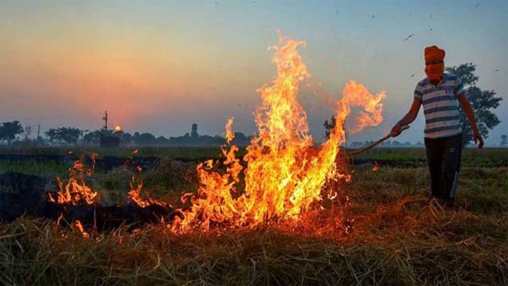 पंजाब में पराली जलाने के 15 केस, अमृतसर सबसे आगे पंजाब में पराली जलाने के 15 केस, अमृतसर सबसे आगे