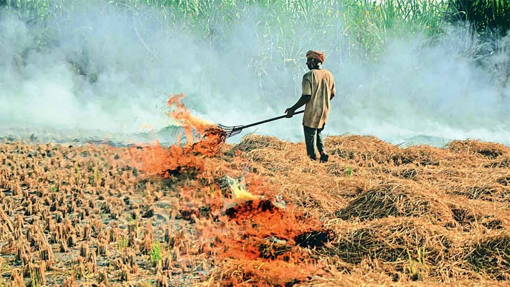 पराली प्रबंधन पर बाजवा का सुझाव, किसानों को ₹100 प्रति क्विंटल प्रोत्साहन देने की मांग