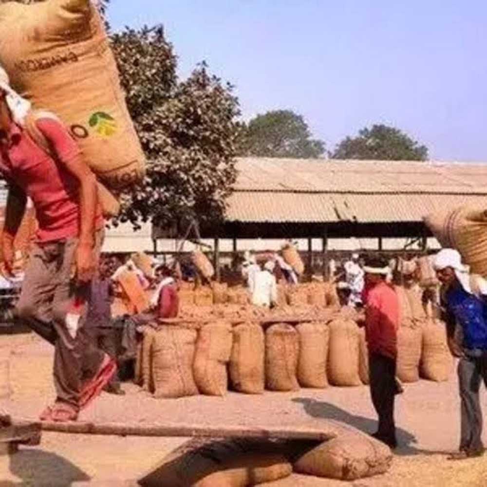 खेत से बाजार तक बदलेगा किसानों का सफर, ट्रेड शो में ब्रांडिंग और डिजिटल बिक्री का मंत्र