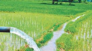 जल संसाधन विभाग द्वारा सिंचाई योजनाओं के 36 कार्यों के लिए 146.43 करोड़ रूपए स्वीकृत