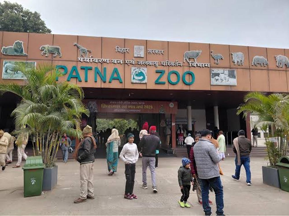 पटना जू में वंदे भारत जैसी दिखेगी नई टॉय ट्रेन, इंजन के साथ होंगे 4 डिब्बे