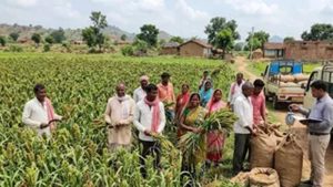 मड़ुआ की खेती से किसानों की बढ़ेगी कमाई, सारण में 6 गुना तक बढ़ेगा खेती का रकबा मड़ुआ की खेती से किसानों की बढ़ेगी कमाई, सारण में 6 गुना तक बढ़ेगा खेती का रकबा