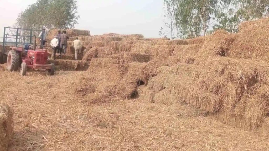 हरियाणा के किसानों की बदली तस्वीर, पराली नहीं जलाई; सरकार दे रही ₹1,200 प्रति एकड़ प्रोत्साहन राशि हरियाणा के किसानों की बदली तस्वीर, पराली नहीं जलाई; सरकार दे रही ₹1,200 प्रति एकड़ प्रोत्साहन राशि