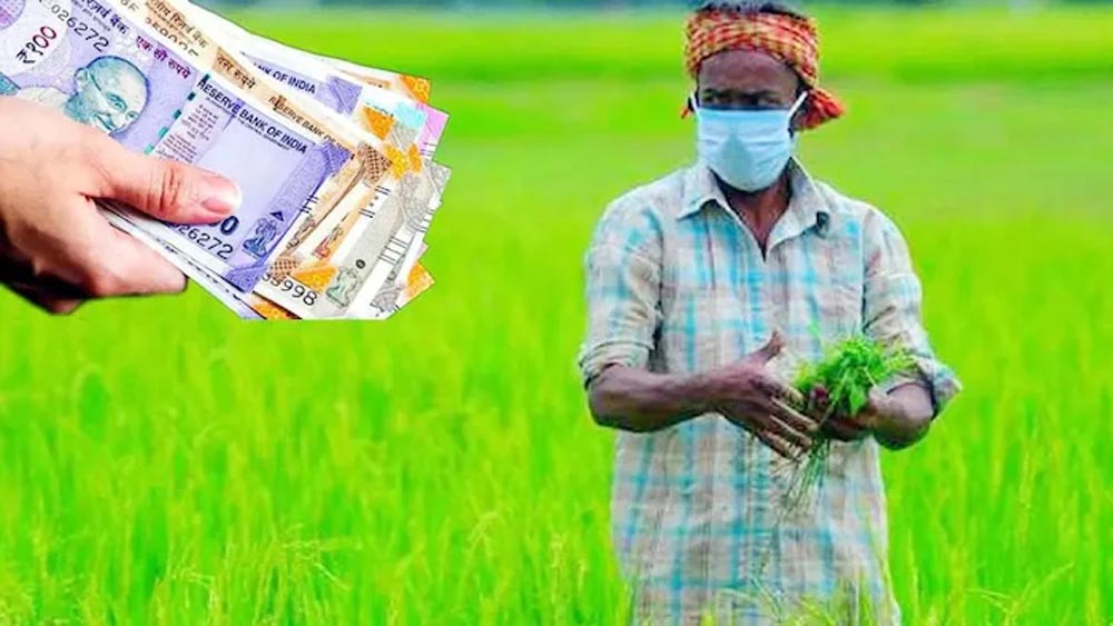 गेहूं, चना, मसूर और सरसों की खेती करने वालों के लिए खुशखबरी, अनुदान पर मिलेंगे उन्नत बीज गेहूं, चना, मसूर और सरसों की खेती करने वालों के लिए खुशखबरी, अनुदान पर मिलेंगे उन्नत बीज