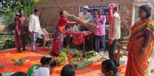 बिहार के जमुई में हर्बल खेती की पहल, महिलाओं को मिलेगा रोजगार और आय बढ़ाने का अवसर बिहार के जमुई में हर्बल खेती की पहल, महिलाओं को मिलेगा रोजगार और आय बढ़ाने का अवसर
