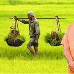 रबी फसल पर किसानों को राहत, झारखंड में सिर्फ 1 रुपये में मिलेगा फसल बीमा योजना का लाभ