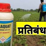 सरकार का बड़ा फैसला: पैराक्वेट डाइक्लोराइड के इस्तेमाल पर रोक, कंपनियों को बचा स्टॉक नष्ट करने के निर्देश सरकार का बड़ा फैसला: पैराक्वेट डाइक्लोराइड के इस्तेमाल पर रोक, कंपनियों को बचा स्टॉक नष्ट करने के निर्देश