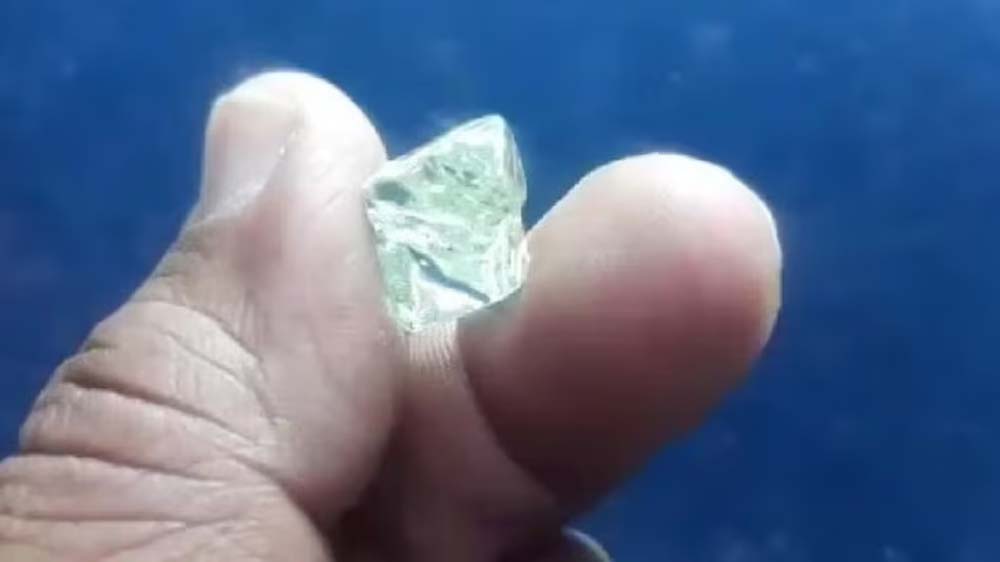 झांसी की महिला को पन्ना की खदान में एक साथ मिले 4 हीरे, कुल वजन 5 कैरेट से ज्यादा