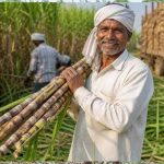 गन्ना किसानों के लिए खुशखबरी, छत्तीसगढ़ में 2025-26 सत्र से ₹425 प्रति क्विंटल भुगतान गन्ना किसानों के लिए खुशखबरी, छत्तीसगढ़ में 2025-26 सत्र से ₹425 प्रति क्विंटल भुगतान